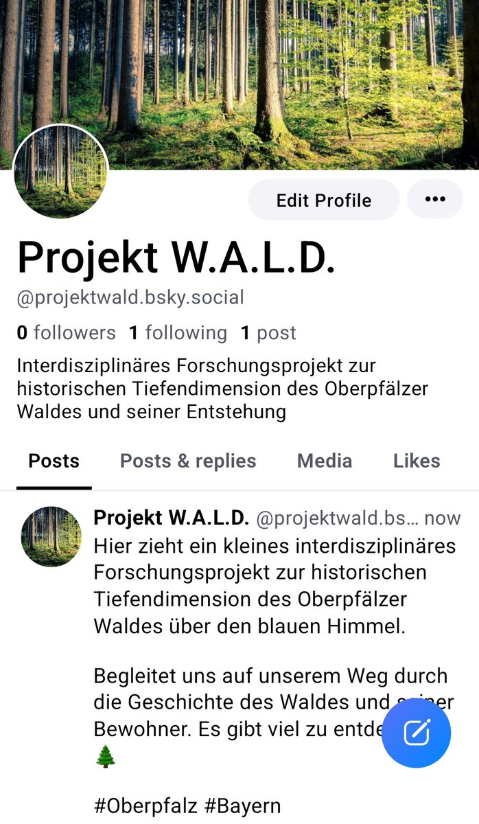 Ihr wisst schon: beinahe jede wunderschöne Pflanze lässt sich durch Ableger vermehren.