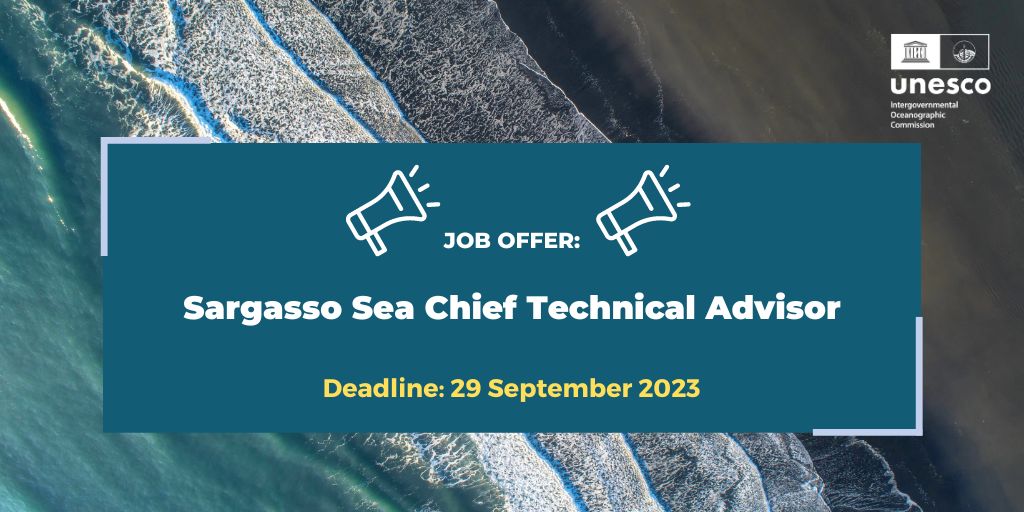 [JOB OFFER] We're looking for a Chief Technical Adviser to work in the framework of the 'Strengthening stewardship through cooperation in the Sargasso Sea' project. Deadline: 29 September 2023 ⏰ Apply 👉 ow.ly/QuVE50PK1uw