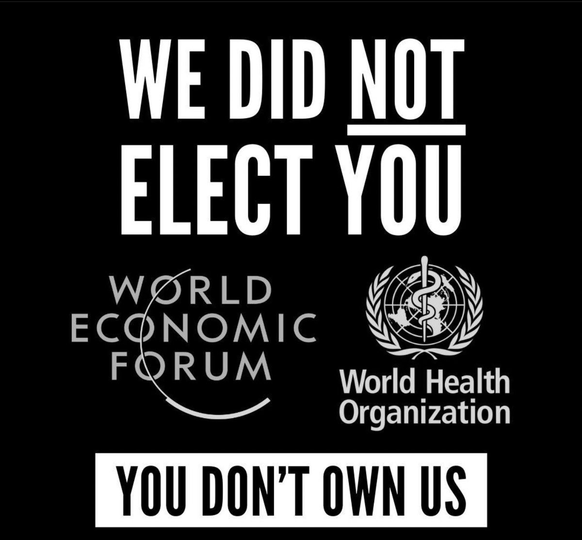 CaliforniaFrizz's tweet photo. Just remember, the ones telling you to give up EVERYTHING, won’t be giving up ANYTHING.

#WeDidNotElectYou #YouDontOwnUs https://t.co/QQ778spKYo