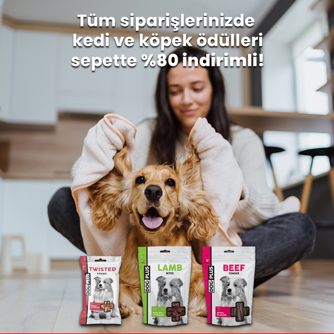 mamaplustr's tweet photo. MamaPlus Eylül indirimleri devam ediyor...
Tüm siparişlerinizde
kedi ve köpek ödülleri sepette %80 indirimli!
https://t.co/1wynA9aBUB
#MamaPlus #KediMaması #KöpekMaması #ÖdülMama https://t.co/uQlNMiSuXO