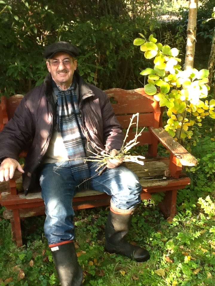 Carol Challis tweet media