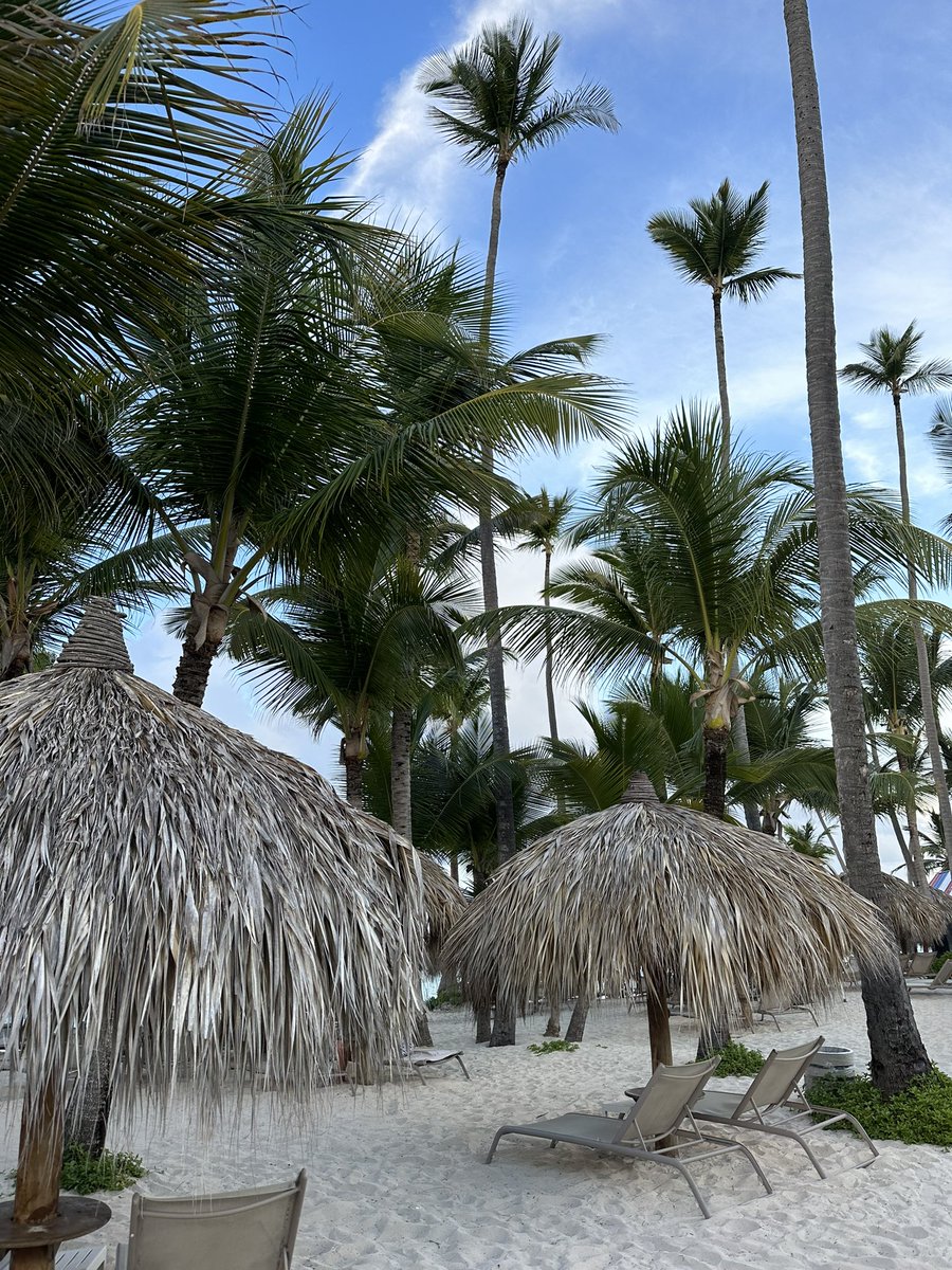 Arrived in paradise 🏝️