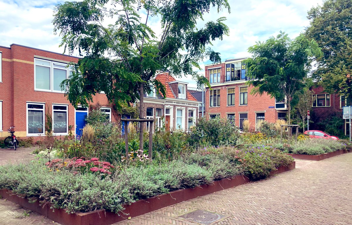 RoelkeHNienhuis's tweet photo. Groen pleintje Radebinnensingel #Groningen #GroeneStad #Leefkwaliteit #koelte #ontmoeten Van grijs naar groen. https://t.co/CRrSqGTe1x