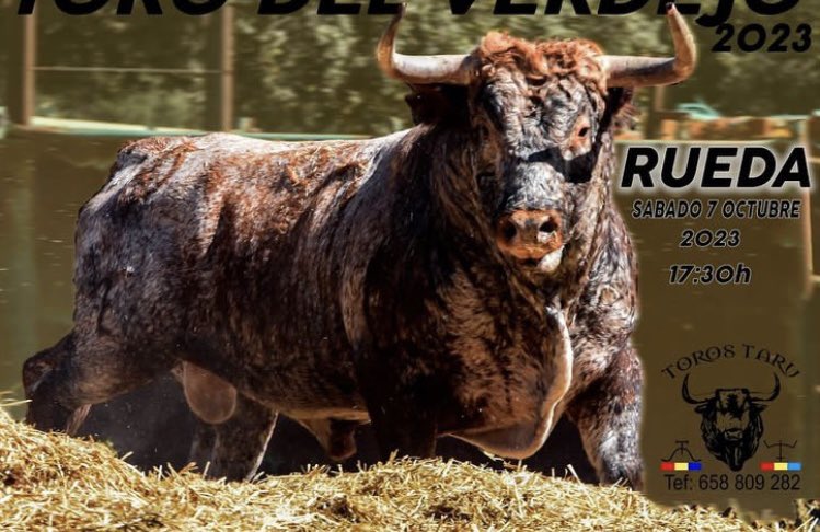 aalejaandro_02's tweet photo. TORO DE LA VENDIMIA 2023
7 de octubre del 2023
17:30 https://t.co/xOivZe5HUQ