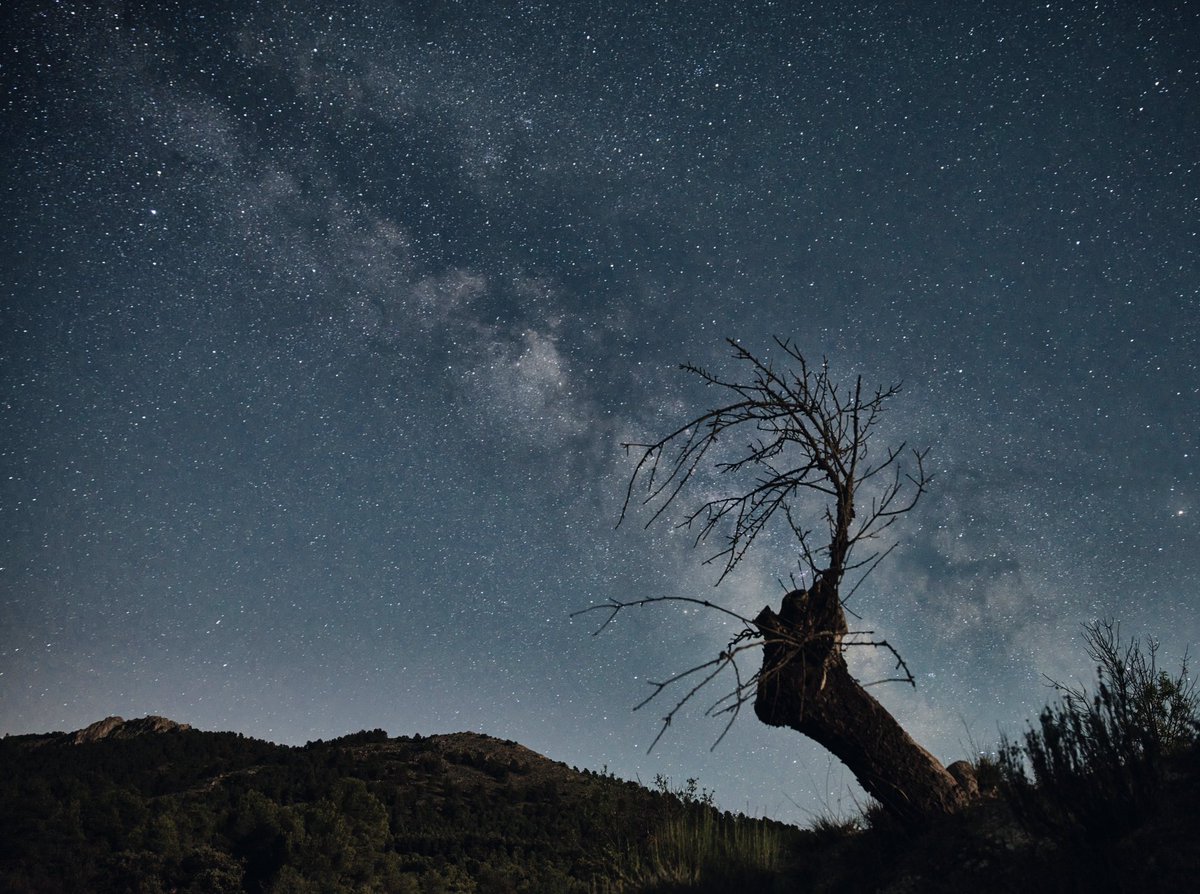 Celebrando el equinoccio de primavera
