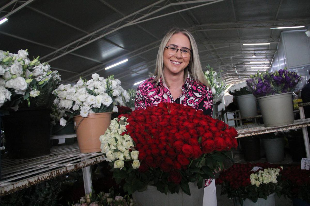 CeydaBC35's tweet photo. Olmaktan korktuğum yerdeyim. 🥹💐

📍 Flora Çiçek Üretimi ve Pazarlama Kooperatifi, Çiçek Mezatı, Balçova https://t.co/4eG8lRlos4