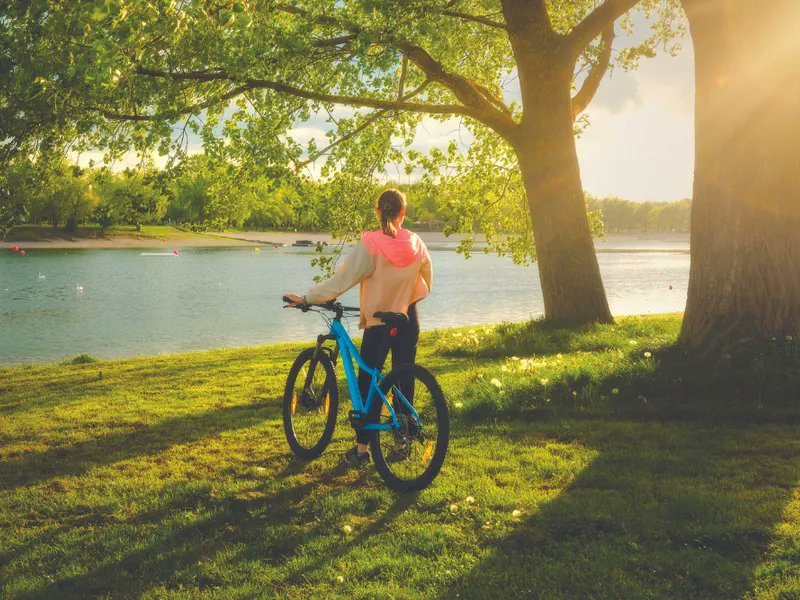 LivingTraverse's tweet photo. Eco Travel 101 https://t.co/WQoZYmsnWu 

#ecotourism #ecotravel #travel #traveller #nature #traversecity #michigan https://t.co/Vt9PuqpMIi