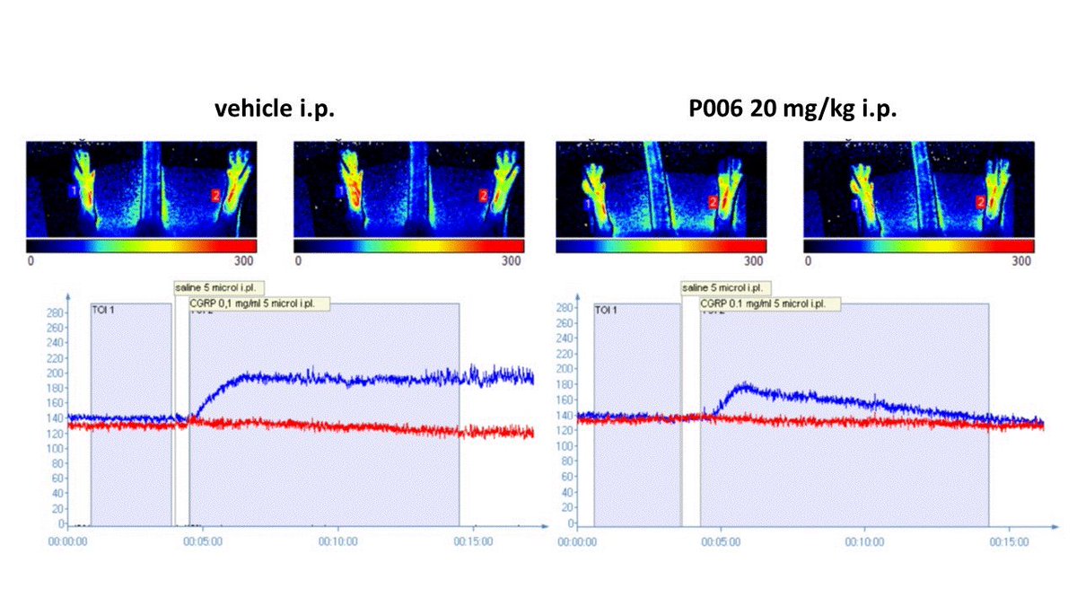 Prof. Gillian Hutcheon tweet media