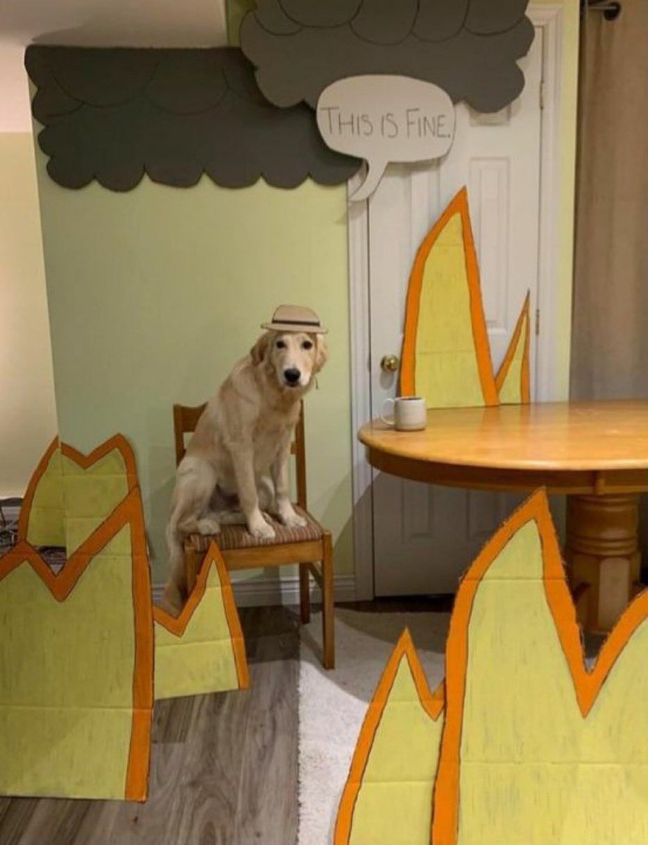 Yourdhoxxx's tweet photo. @FineErc2Dev @Fineerc2 my entry
hope @FineErc2Dev @Fineerc2 love this
#FINE2 https://t.co/Mdh0cigdjx