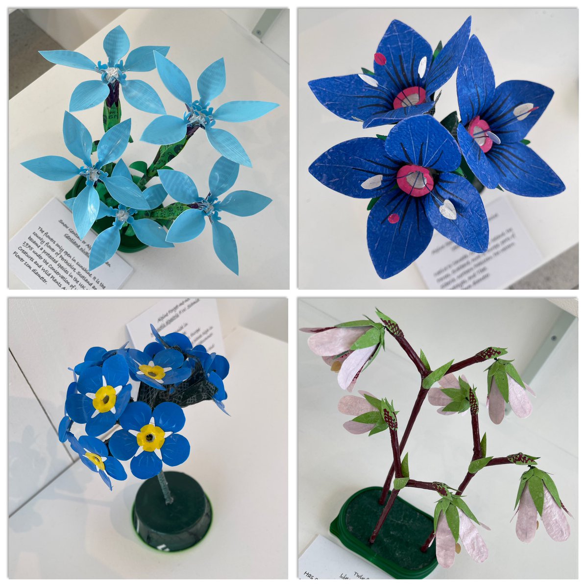 Ruth Moilliet tweet media