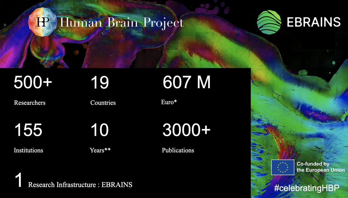 After 10 years, the @EU_Commission Flagship Human Brain Project will come to an end on 30 September. Learn more about our achievements here: humanbrainproject.eu #celebratingHBP
