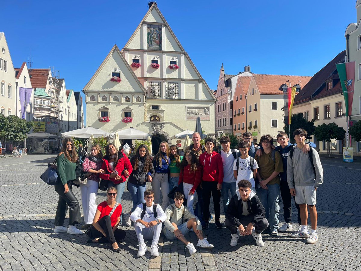 Montse M tweet media