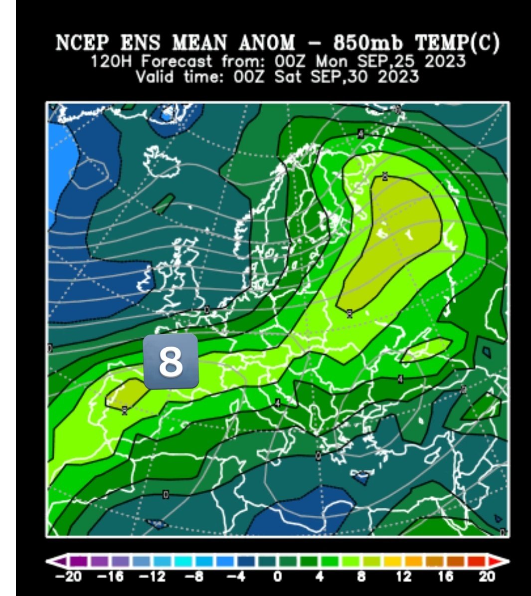 Vakapiupiu's tweet image. 29 30 #setembre2023 
El veranillo del membrillo, codonys!
Estiuàs de Sant Miquel 
#veroño
#tardiu #estiurdor