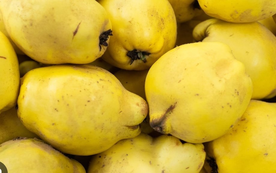 Vakapiupiu's tweet image. 29 30 #setembre2023 
El veranillo del membrillo, codonys!
Estiuàs de Sant Miquel 
#veroño
#tardiu #estiurdor