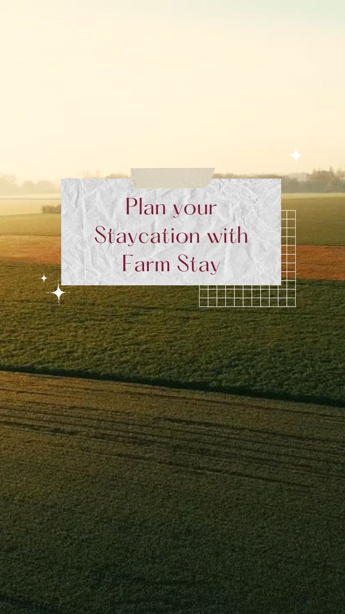 Farm Stay = Staycation 🏡🌾 Save money, no stress, support local, find hidden treasures, your pace! Let's make memories!
