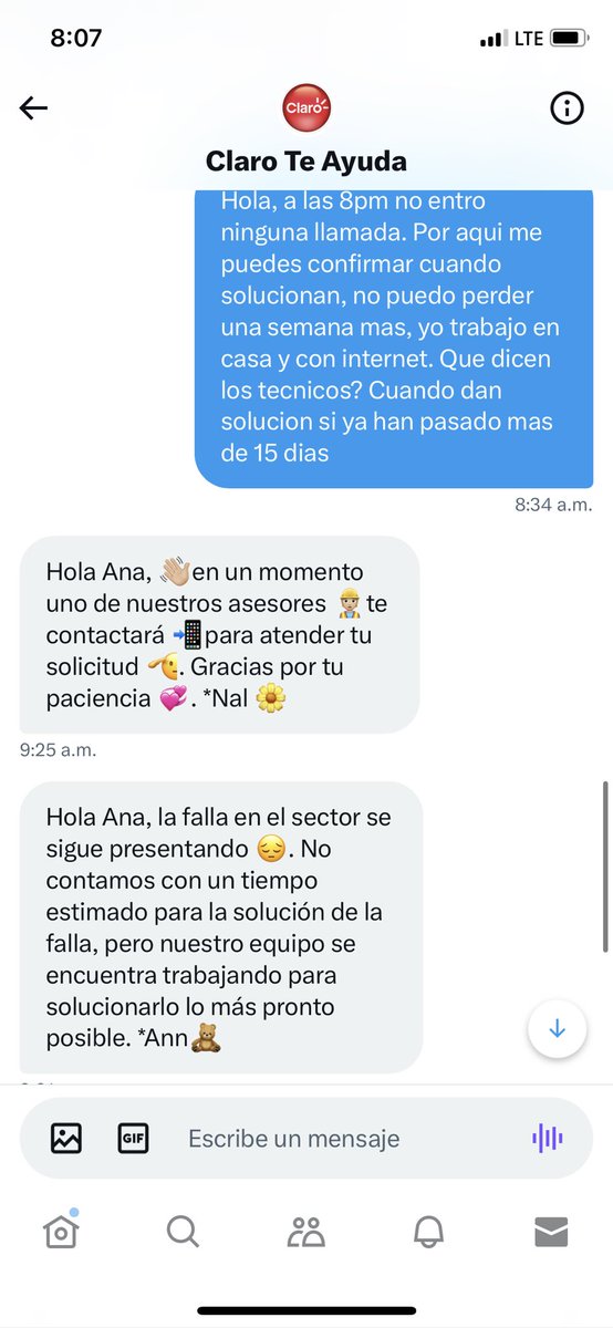 Anita Fierro tweet media