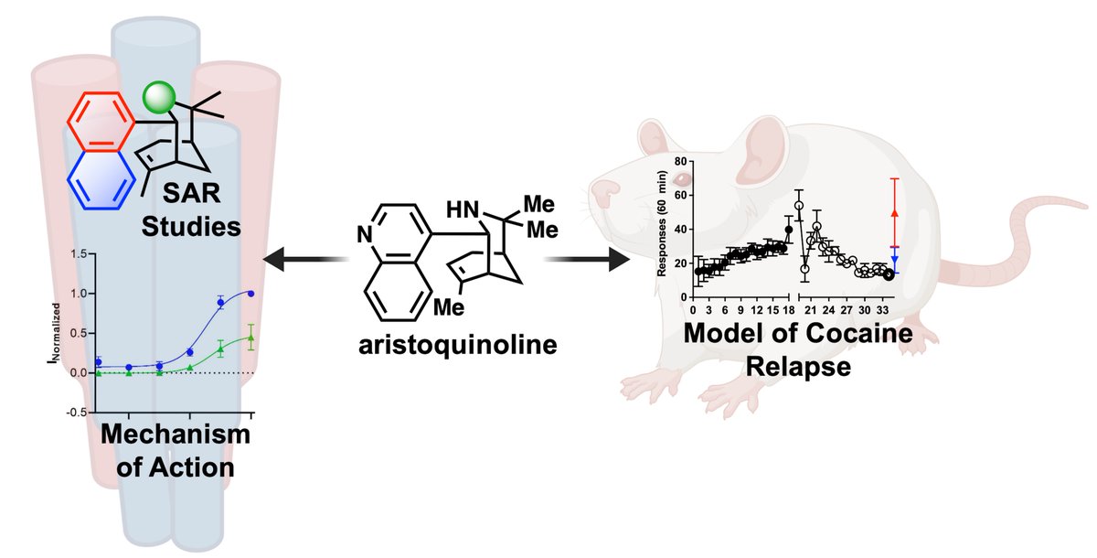 TheRileyLab's tweet photo. Excited to share our group's latest pre-print: https://t.co/Rc4C1Yo1zO. A true team effort from @leesahroosalee @kylekremiller @MalaikaDArgade and the many Twitterless colleagues. https://t.co/Z6wqJEOkjB