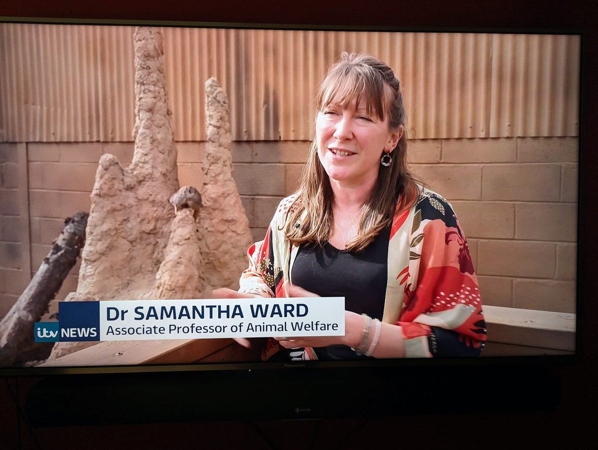 Dr Samantha Ward 🌳🦏🦒🦘🦌🦧 tweet media