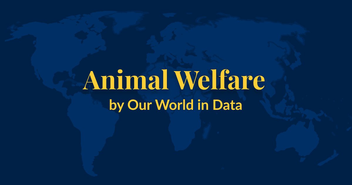Hannah Ritchie (@_hannahritchie) on Twitter photo Together with my colleague Pablo Rosado, we have published a new topic on <a href="/OurWorldInData/">Our World in Data</a> on Animal Welfare.
It brings the data together on how many animals are slaughtered across the world, and various other measures of welfare and laws š
ourworldindata.org/animal-welfare Together with my colleague Pablo Rosado, we have published a new topic on <a href="/OurWorldInData/">Our World in Data</a> on Animal Welfare.
It brings the data together on how many animals are slaughtered across the world, and various other measures of welfare and laws š
ourworldindata.org/animal-welfare