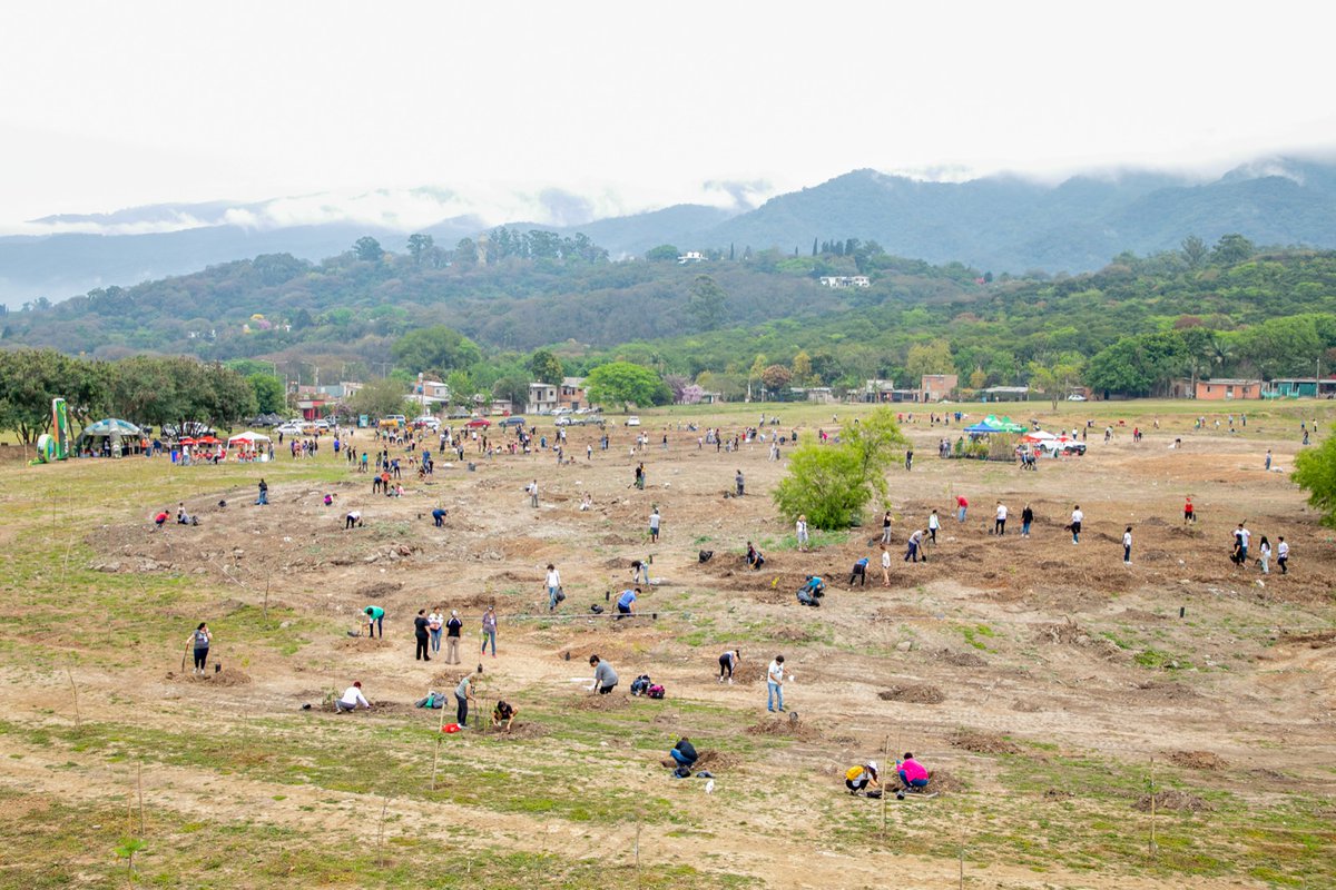 Para quiénes no pudieron ver el vivo (en Instagram) , aquí tenemos un carrusel de fotos: La Olla, un parque hecho entre todos.

🌱El sábado plantamos 1.000 árboles autóctonos en La Olla. Organizaron Meta Tucumán, Fundación del Tucumán, Unaje, Agencia I, ELNA, Fundación León,…