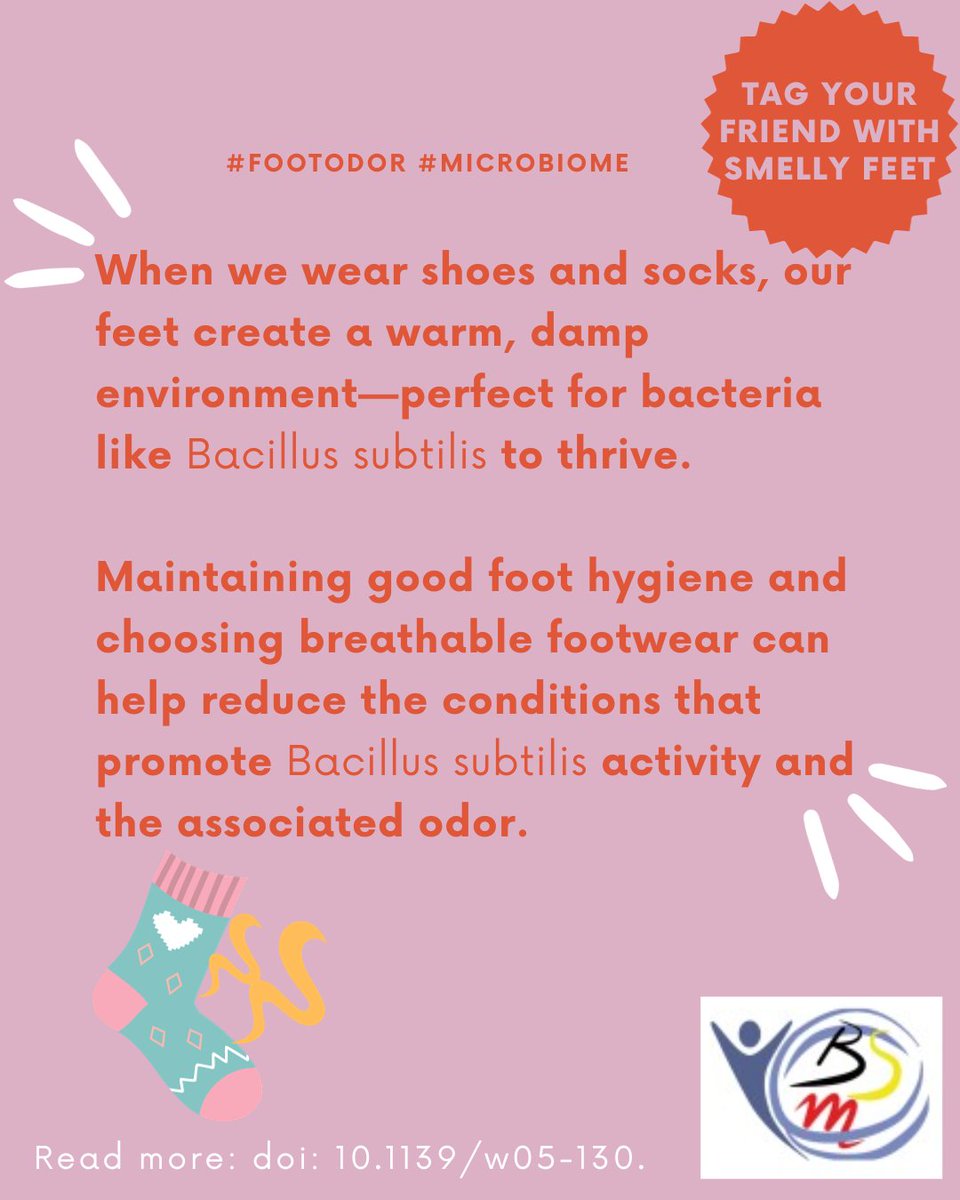 YBSMicrobiology's tweet photo. ✨ Curiosity of the month ✨ Have you ever wondered why your feet sometimes smell like cheese? Meet Bacillus subtilis and its role in body odor🧀💥

Don't forget to tag a friend with smelly feet! 🎯

#Cheesyfacts #Microbiome #Bodyodor @MicrobioBel https://t.co/x9NsACit1O