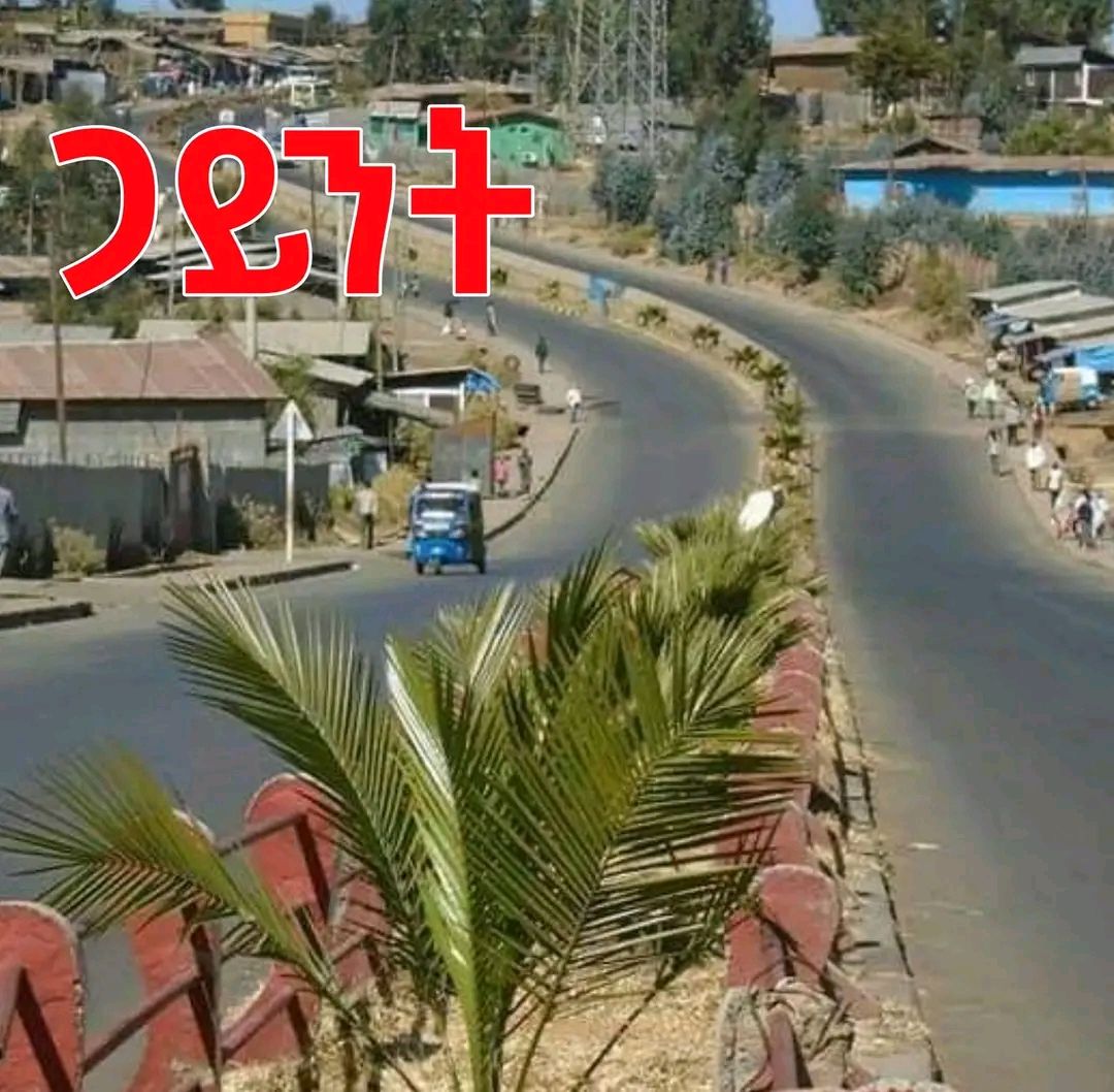 Ebrahim53277131's tweet photo. በጋይንት አጠቃላይ በጎንደር ያላችሁ ሚሊሻ አድማ ብተና በወገናችሁ ላይ ሞትን ባትፈርዱ የተሻለ ነው‼️ በአስቸኳይ አፈሙዛችሁን ወደ አገዛዙ እንድታደርጉ ካልሆነ ቤተሰብህን እያንዳንድህ ታጣለህ‼️
#ድል_ለአማራህዝብ 
#ድል_ለፋኖ https://t.co/S6EORwlmeA