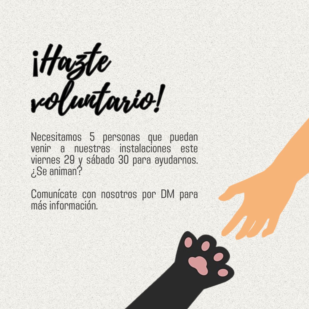 feemasa2002's tweet photo. 🤝 ¡Necesitamos de su ayuda! 🤝

Comunícate con nosotros por DM si realmente estás interesad@, te esperamos. 🤩

#Voluntarios #Ayuda #CatLovers #GranCanaria https://t.co/CZCPpAt7G7