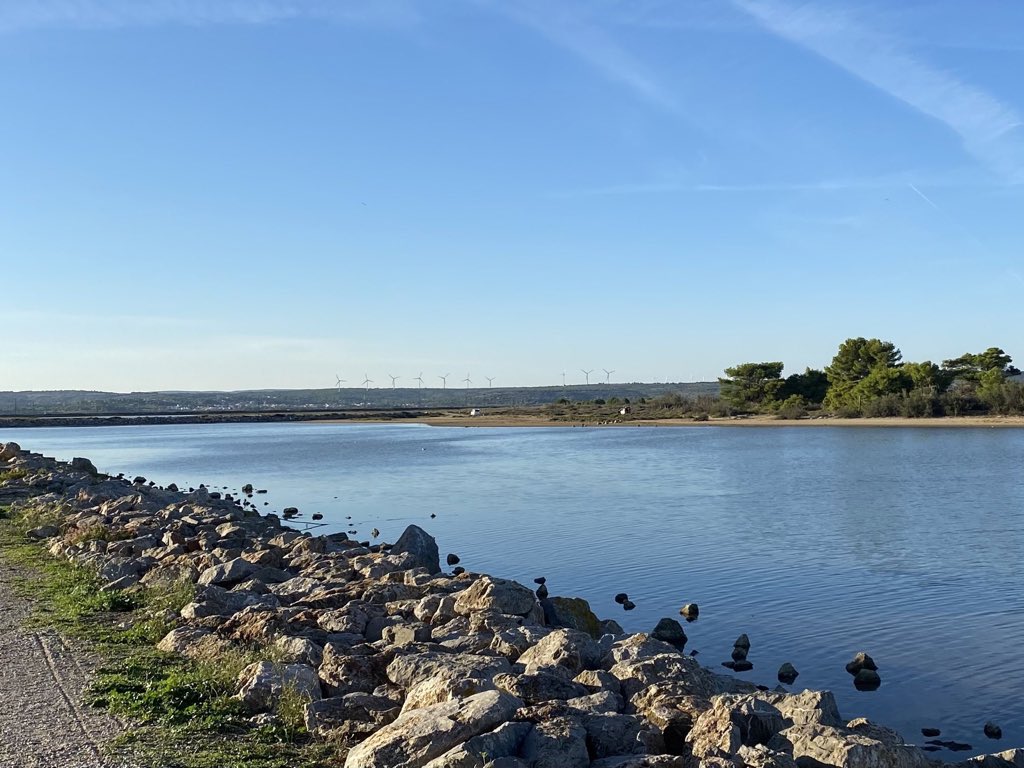 jjbascoul's tweet photo. à #Leucate la @FondationEngie soutient l’exploration du Golfe du Lion avec @Le_Museum #biodiversite  
@ENGIEgroup @EFGLgolfedulion avec @monique_ching #MarieBreton #LineleGall #BenjaminGirard #PierreGarreau https://t.co/XJmCh6Ngns