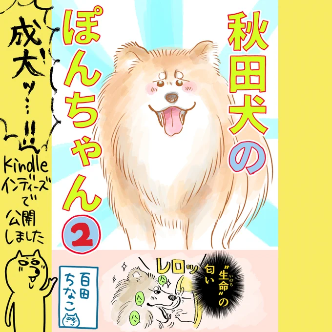 「秋田犬のぽんちゃん」②～成犬編～#kindleインディーズマンガ で公開しました! 