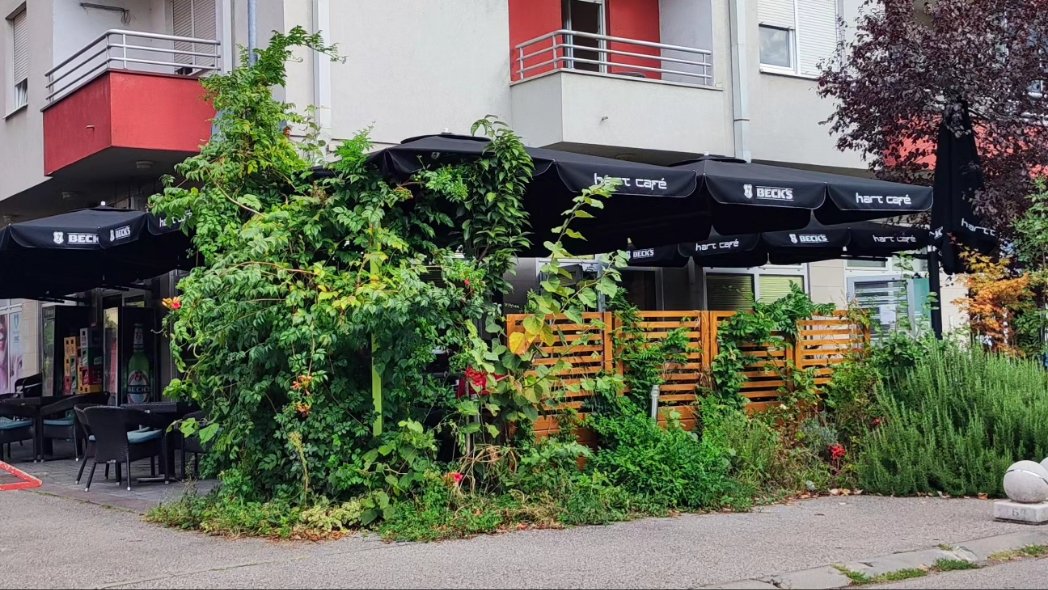 Kafe bar (H)art je uz šampione! 💪

Novo mjesto na kome putem kutije za donacije možete podržati rad i ciljeve naše fondacije.

BUDI UZ ŠAMPIONE!