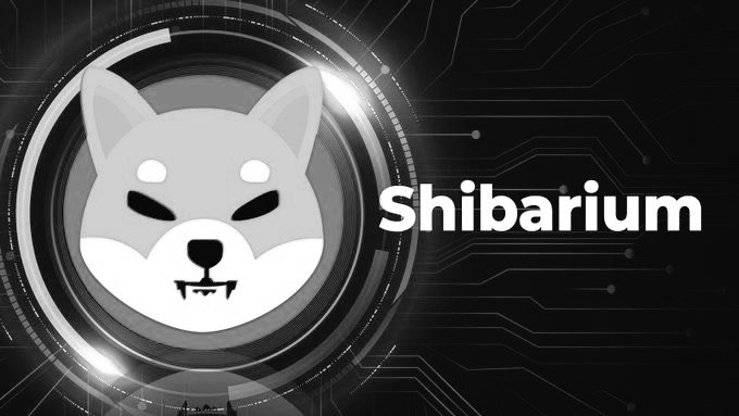 SHIBpossessor's tweet photo. I am confident $SHIB is going to $1 Do you agree? 🙏🏼

FOLLOW me if you are #SHIB Lovers https://t.co/J0zeiap5YV
