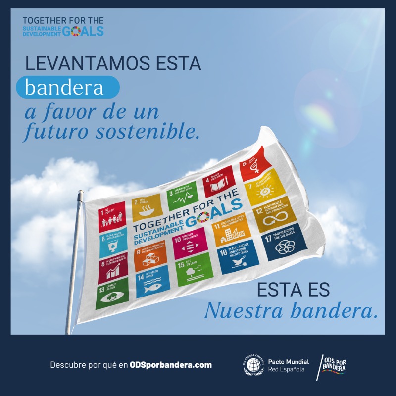 Mercadona forma parte del @PactoMundial desde 2011 y hoy celebramos 🎉 el 8º aniversario de la Agenda 2030 y ondeamos los #ODSporBandera. 🏳 ¡Seguimos trabajando para alcanzar un futuro más sostenible! #TogetherForTheSDGs bit.ly/3NpEJyy
