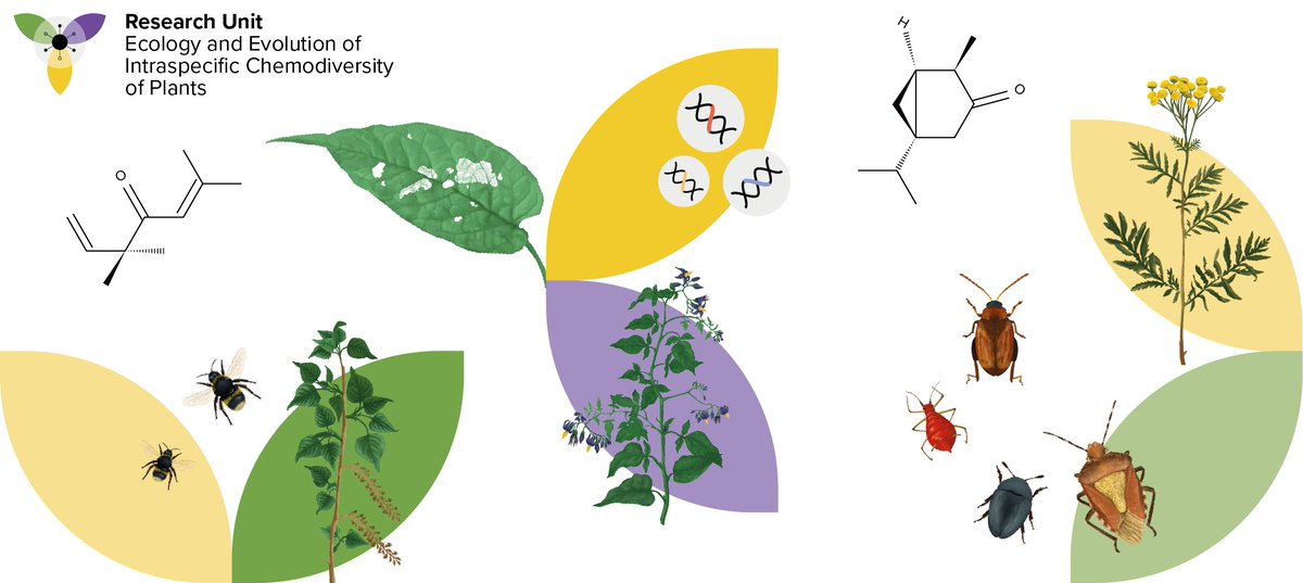 We are very grateful that @dfg_public granted us another three years of funding for our Research Unit. We are very much looking forward to continuing our joint effort to disentangle the fascinating world of #chemodiversity.