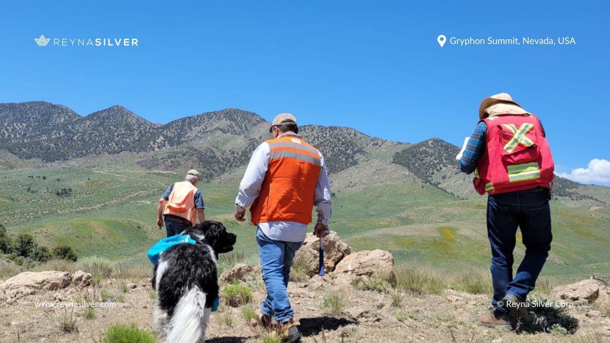 📸 Our Reyna Silver team checking out Gryphon prior to acquisition! Can't miss Stella, our resident geodog. With rock talk in her DNA, thanks to Dr. Megaw as Grandpaw, she's more than just a team member — she's geared up & ready to assist! #RSLV #Gryphon #Geodog #Nevada