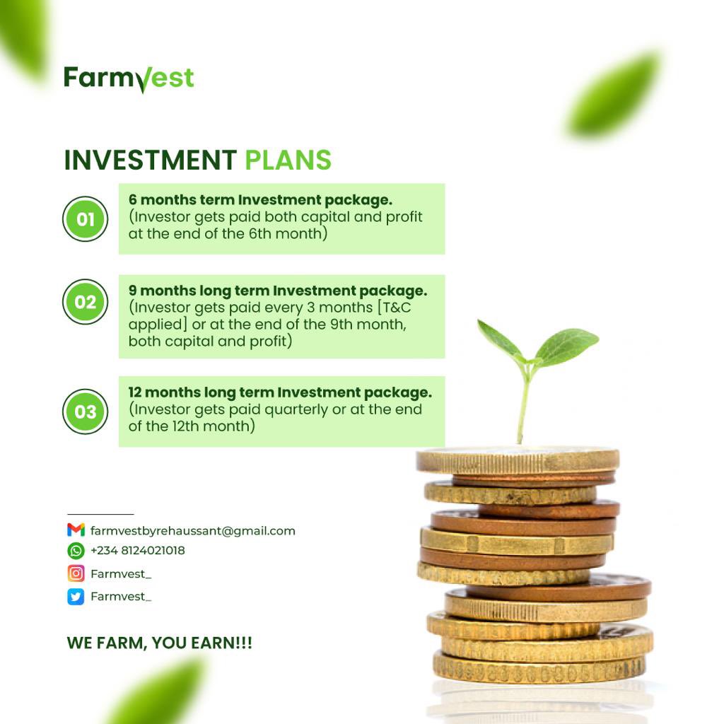 Farmvest_'s tweet photo. A good way to start your week with productive activities, you can trust your investments and watch your money grow with Farmvest💚✅.

Good investments plan at its peak 💚 https://t.co/gSKWUKZq62