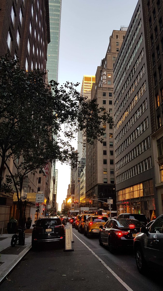European Union Science Diplomacy Alliance (@scidipalliance) on Twitter photo EU <a href="/SciDipAlliance/">European Union Science Diplomacy Alliance</a> discussed #ScienceDiplomacy in Times of Multiple Crises at this year's #UNGA78 🇺🇳Science Summit in New York 🇺🇸 including sessions on #AI, #openscience and #foreigninterference. Our heartfelt gratitude to our speakers, the <a href="/ACFNY/">Austrian Cultural Forum New York</a>🙏 <a href="/unikrems/">Universität für Weiterbildung Krems</a> <a href="/katja_mat/">Katja Mayer</a> <a href="/KSCH_ZSI/">Klaus Schuch</a> EU <a href="/SciDipAlliance/">European Union Science Diplomacy Alliance</a> discussed #ScienceDiplomacy in Times of Multiple Crises at this year's #UNGA78 🇺🇳Science Summit in New York 🇺🇸 including sessions on #AI, #openscience and #foreigninterference. Our heartfelt gratitude to our speakers, the <a href="/ACFNY/">Austrian Cultural Forum New York</a>🙏 <a href="/unikrems/">Universität für Weiterbildung Krems</a> <a href="/katja_mat/">Katja Mayer</a> <a href="/KSCH_ZSI/">Klaus Schuch</a>
