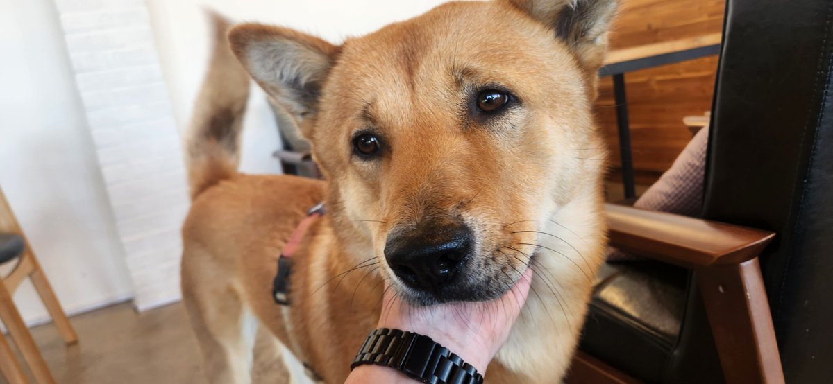 월요일 오픈완! 월요병 치료는 원래 술이죠 :)