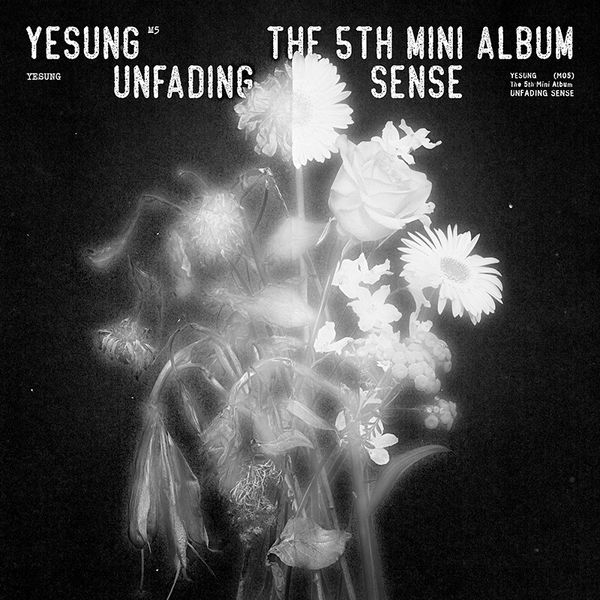 🎀Special Gift X @yesungthailand 📀YESUNG - The 5th Mini Album [Unfading Sense] (Photo Book Ver.) 🎁ประโยชน์พิเศษ Ktown4u : การ์ดรูปถ่ายสุ่ม 1p ⏰2023.09.13 ~ 2023.10.03 PM 23:59 ❤️POB จะถูกมอบให้แก่ผู้ซื้อก่อนหน้านี้ด้วย! 💗ลด 40%👉bit.ly/3tz1vtK 💗เข้าไปสมัคร