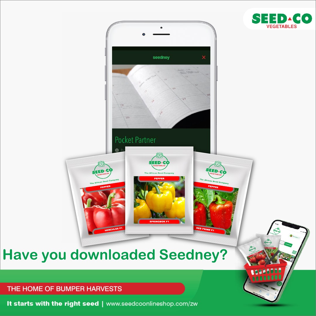 Download our app today and unlock the full potential of your farm! “Download the app on
Google Play Store
play.google.com/store/apps/det… 
Apple App Store
apps.apple.com/.../seedney-by…
#seedcovegzim
#itstartswiththerightseed