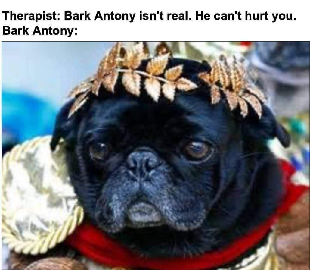 Classical Studies Memes (@csmfht) on Twitter photo 