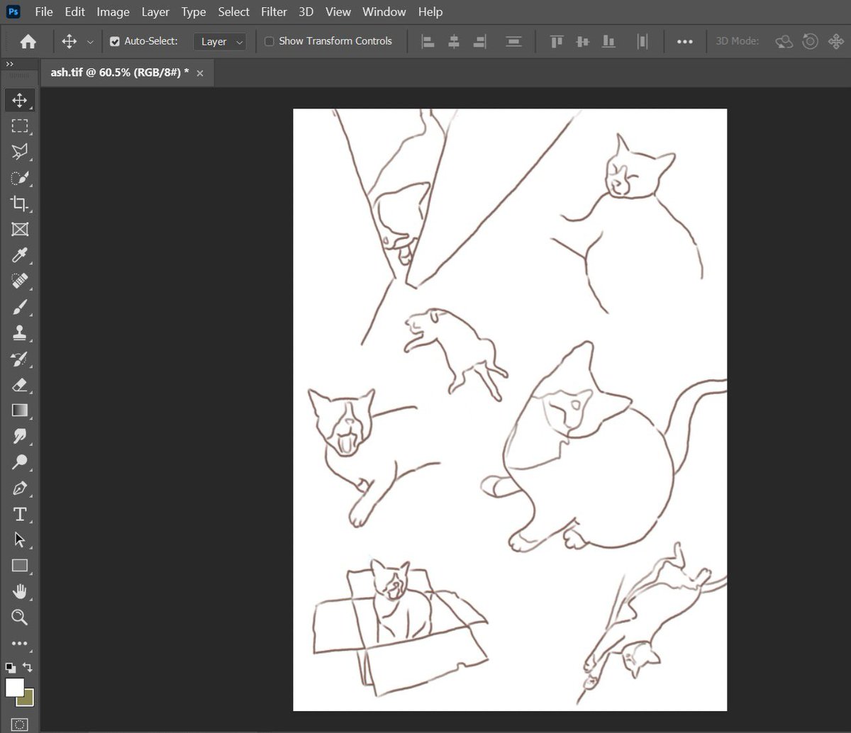 bethuneee's tweet image. learning how to draw: random sketches of my cat /ᐠ - ˕ -マ - ᶻ 𝗓 𐰁

#sketches #cats