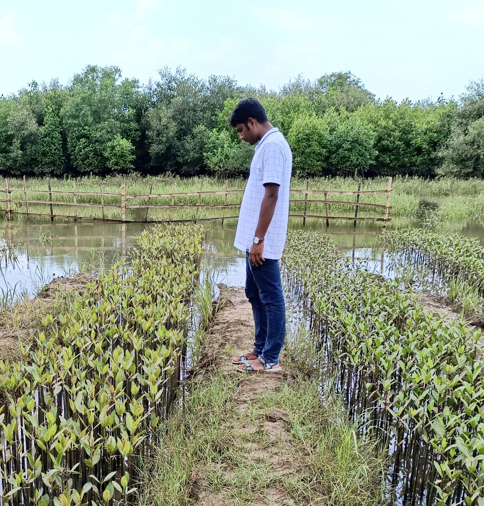 Glad to be back home filled with meaningful engagements across different states. Excited to forge ahead with the same vision.

#YouthStewardship
#ClimateResilence
#CommunityMatters
#YouthForMangroves
#MangroveResilence
#NatureBasedSolution #ClimateChange
#Odisha

@YuWaahIndia