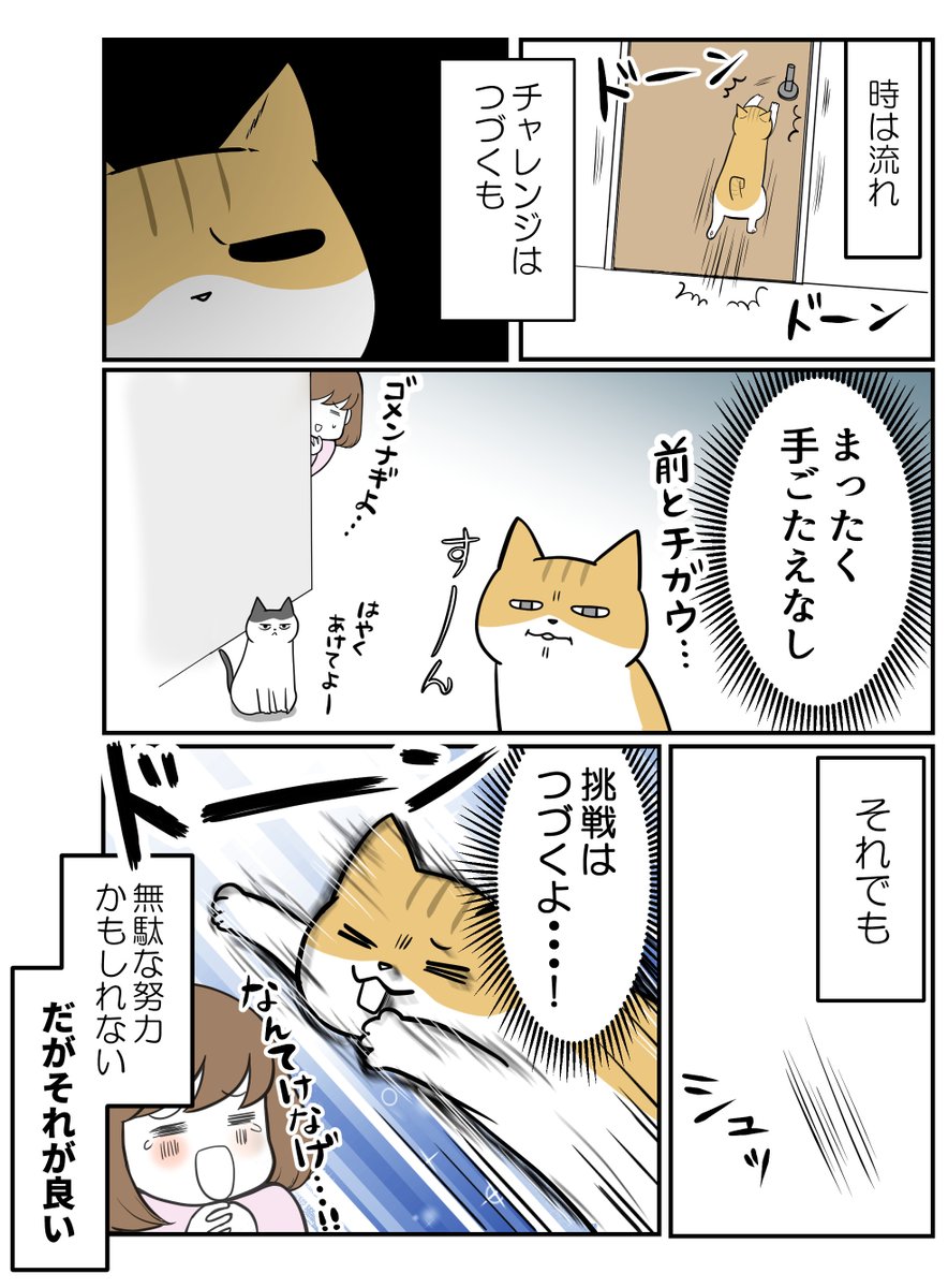 (2/3) 