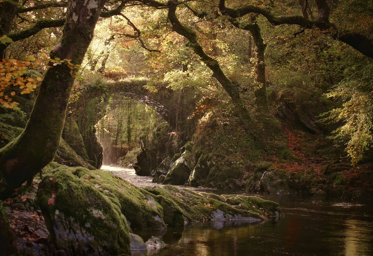 Overwhelmed at having my image at Penmachno shortlisted at the @GBPhotoAwards (Landscape category) Take a look and vote for your favourite through this link in - britishphotographyawards.org/2023-shortlist… Results 10th November at Dorchester house, London. Diolch! Thank you!