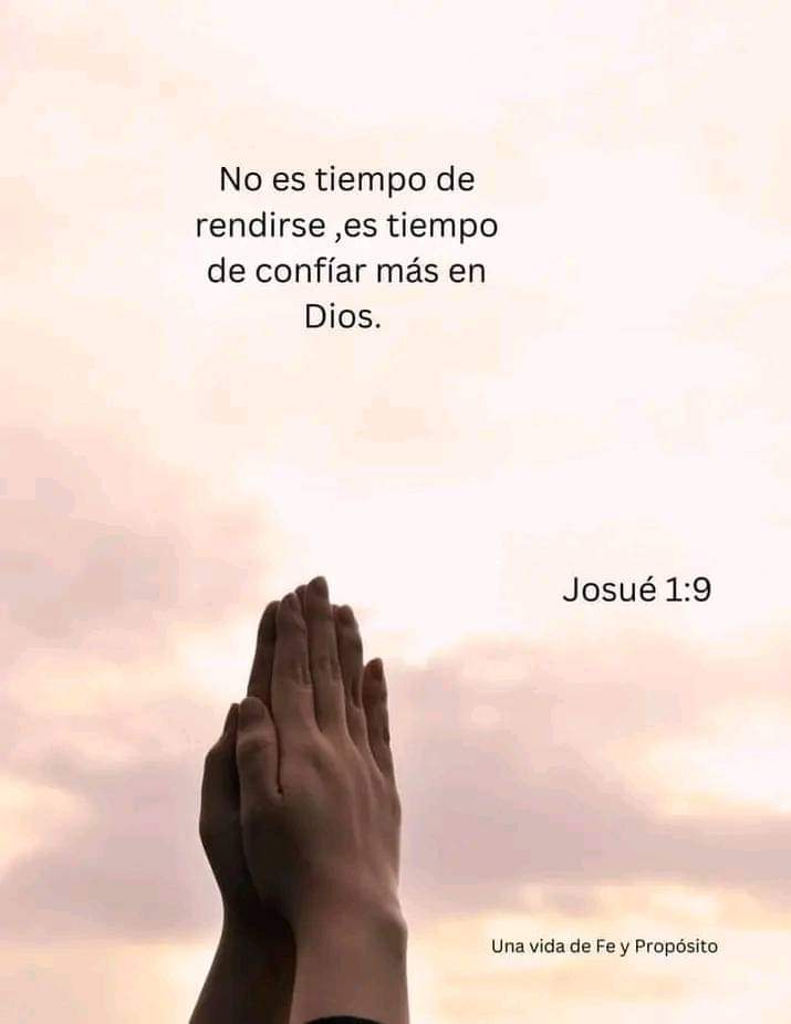 Angela Soto (@angelas71020171) on Twitter photo 