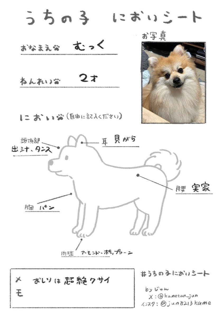 いぬのにおいが大好きすぎて『うちの子においシート』を自分で作って自分で記入しました。
みなさんも良かったらぜひ。
#うちの子においシート 
