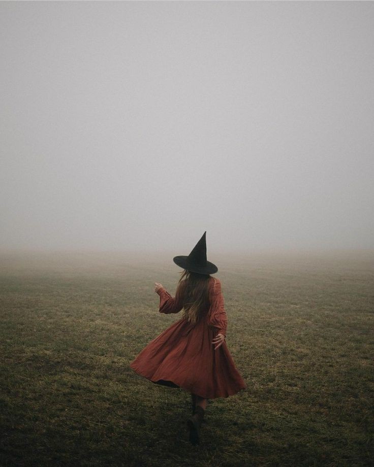 AcademiaDreams's tweet photo. season of the witch 🐈‍⬛ https://t.co/cBQMDSambn