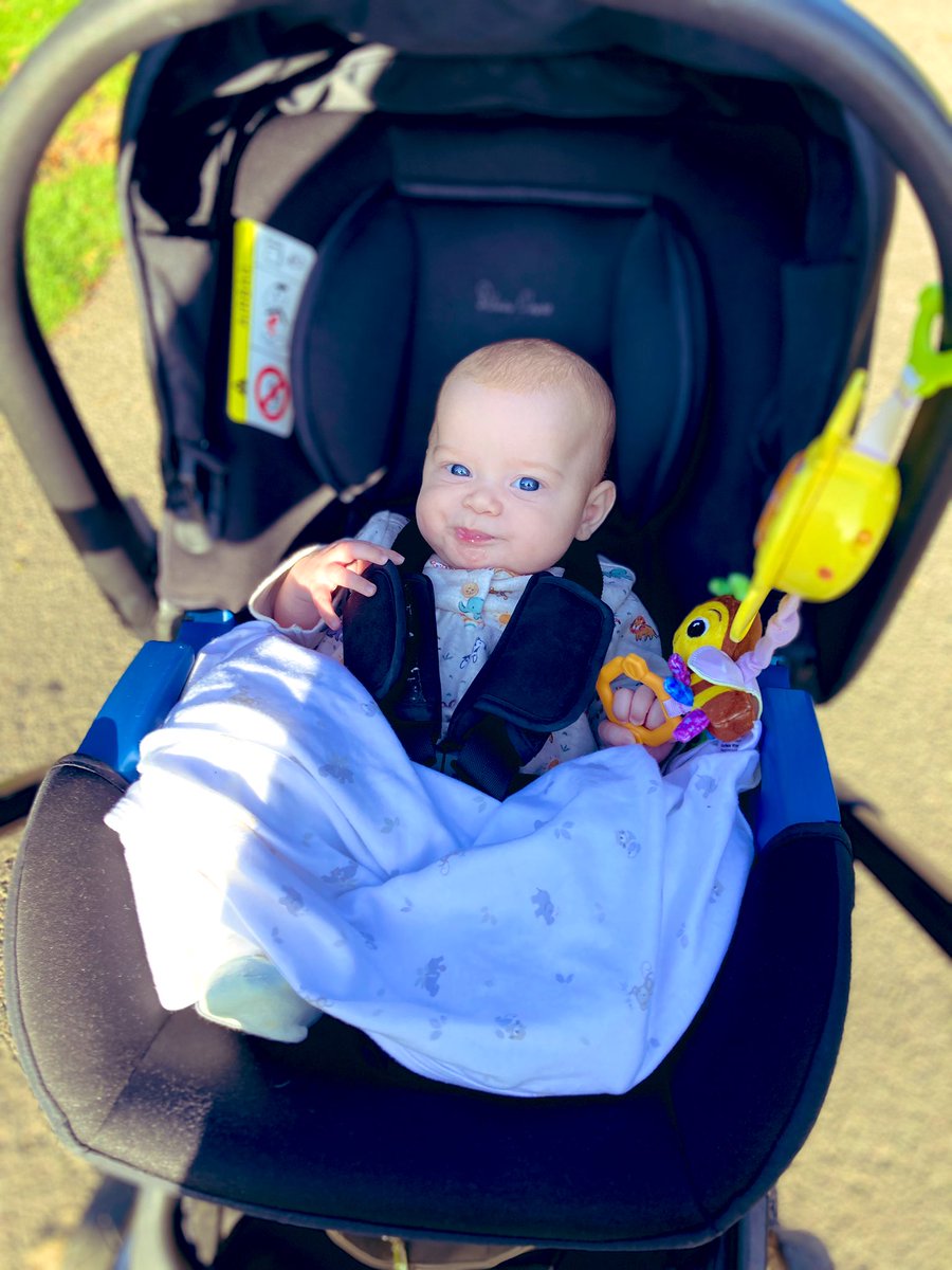 Early morning strolls in the beautiful parkland of <a href="/burghleyhouse/">Burghley</a> 

Those eyes 💙