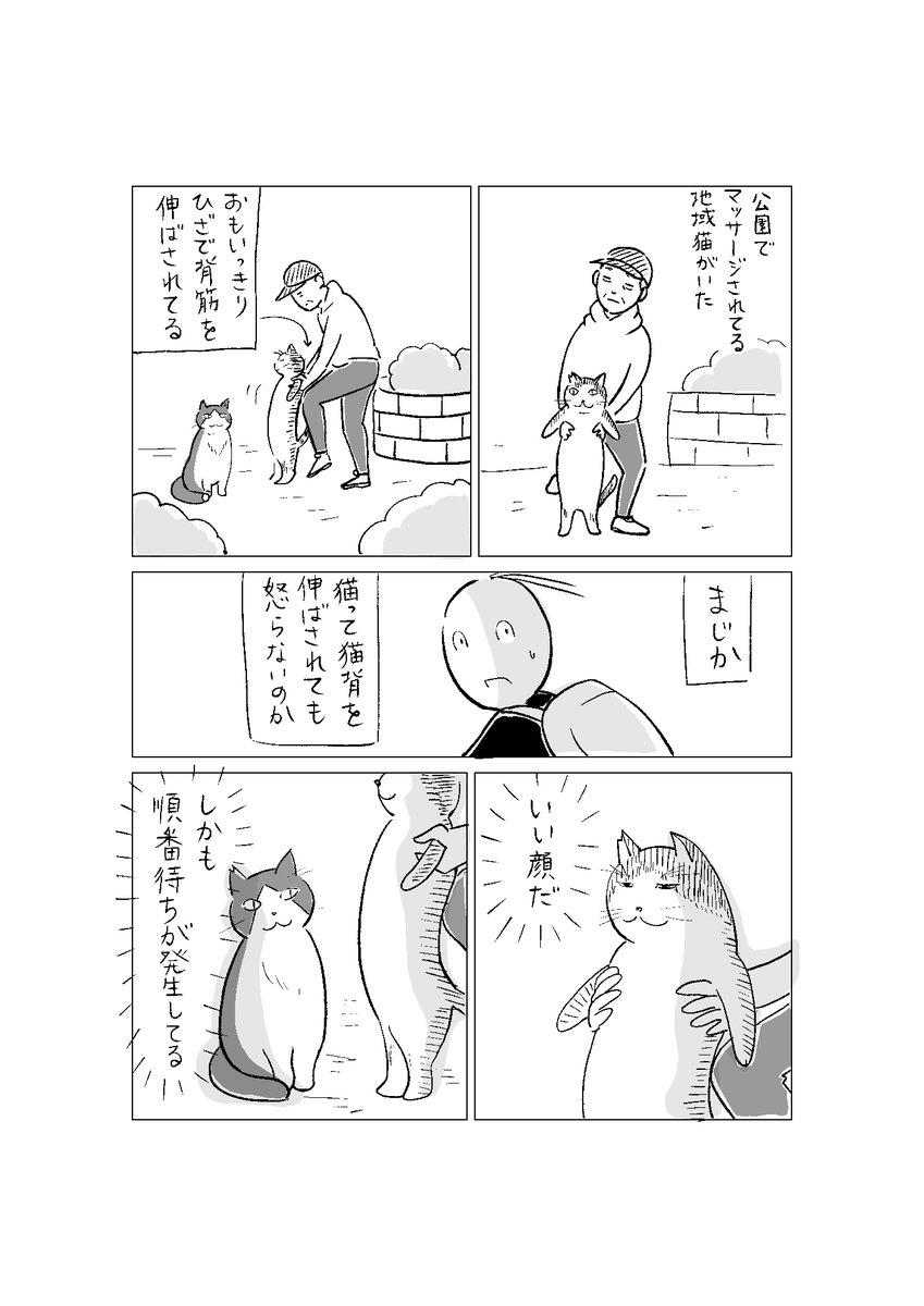 見たことない猫マッサージ