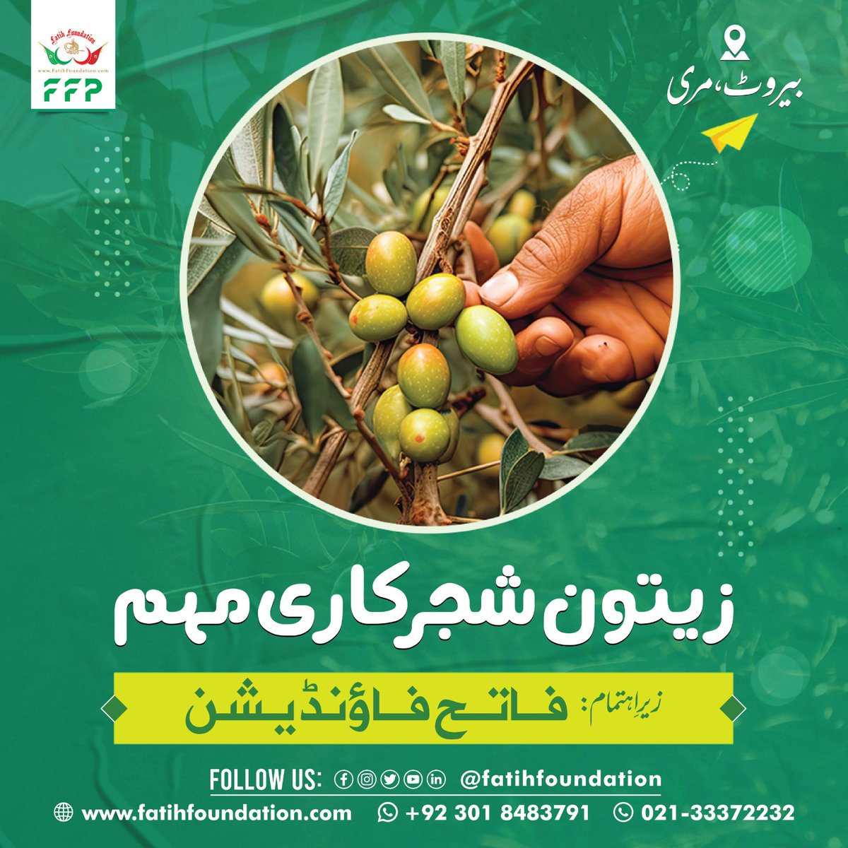 FatihFoundation's tweet photo. فاتح فاؤنڈیشن کے زيراہتمام بيروٹ مری ميں زيتون کی شجرکاری مہم کا آغاز ہو چکا ہے.
آئیں فاتح فاؤنڈیشن کے ساتھ اس شجرکاری کا حصہ بنے.

#olives #trees #plantation #Plantationactivity #Murree #fatihfoundation #activity2023 https://t.co/fz7KgrJJx5